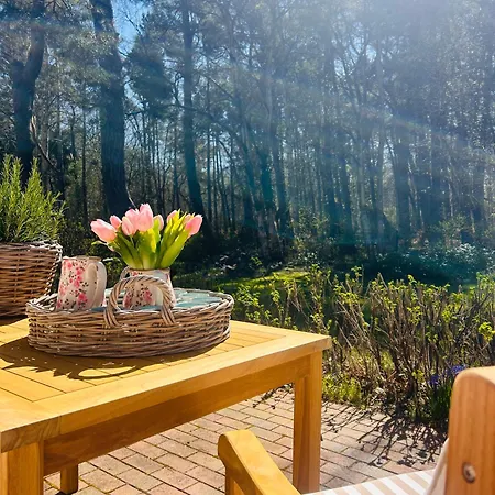 Apartamento Idyllische Strandwohnung In Zingst, 50m Zum Strand, Traumhafte Lage, Liebevolle Einrichtung Zingst