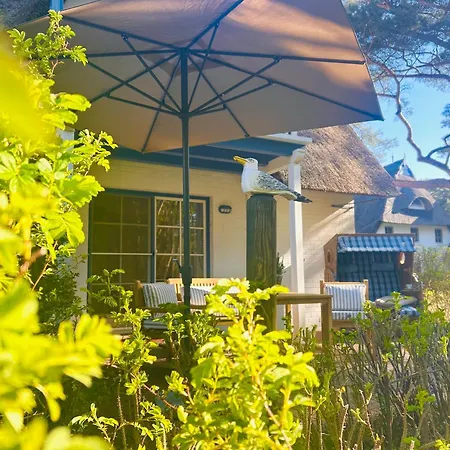 Idyllische Strandwohnung In Zingst, 50m Zum Strand, Traumhafte Lage, Liebevolle Einrichtung Apartamento Zingst